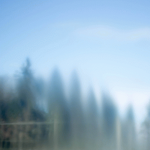 Coldworld : Soundtrack to Isolation